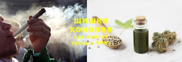 ГАЛЛЮЦИНОГЕННЫЕ ГРИБЫ Слюдянка