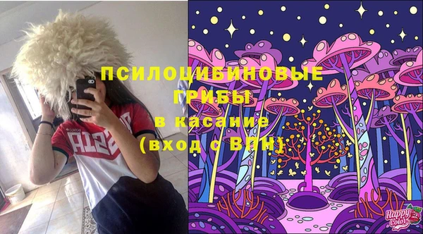 прущая мука Снежногорск