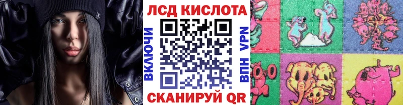 Марки NBOMe 1,5мг  где продают   Каргополь 
